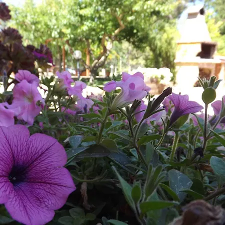 Il Noce Alghero Сasa de vacaciones Santa Maria la Palma