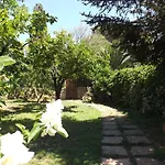 Feriehus Il Noce Alghero *