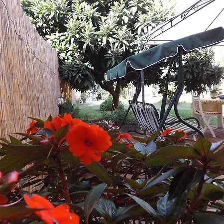 Holiday home Il Noce Alghero